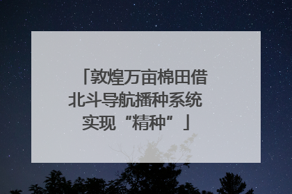 敦煌万亩棉田借北斗导航播种系统实现“精种”